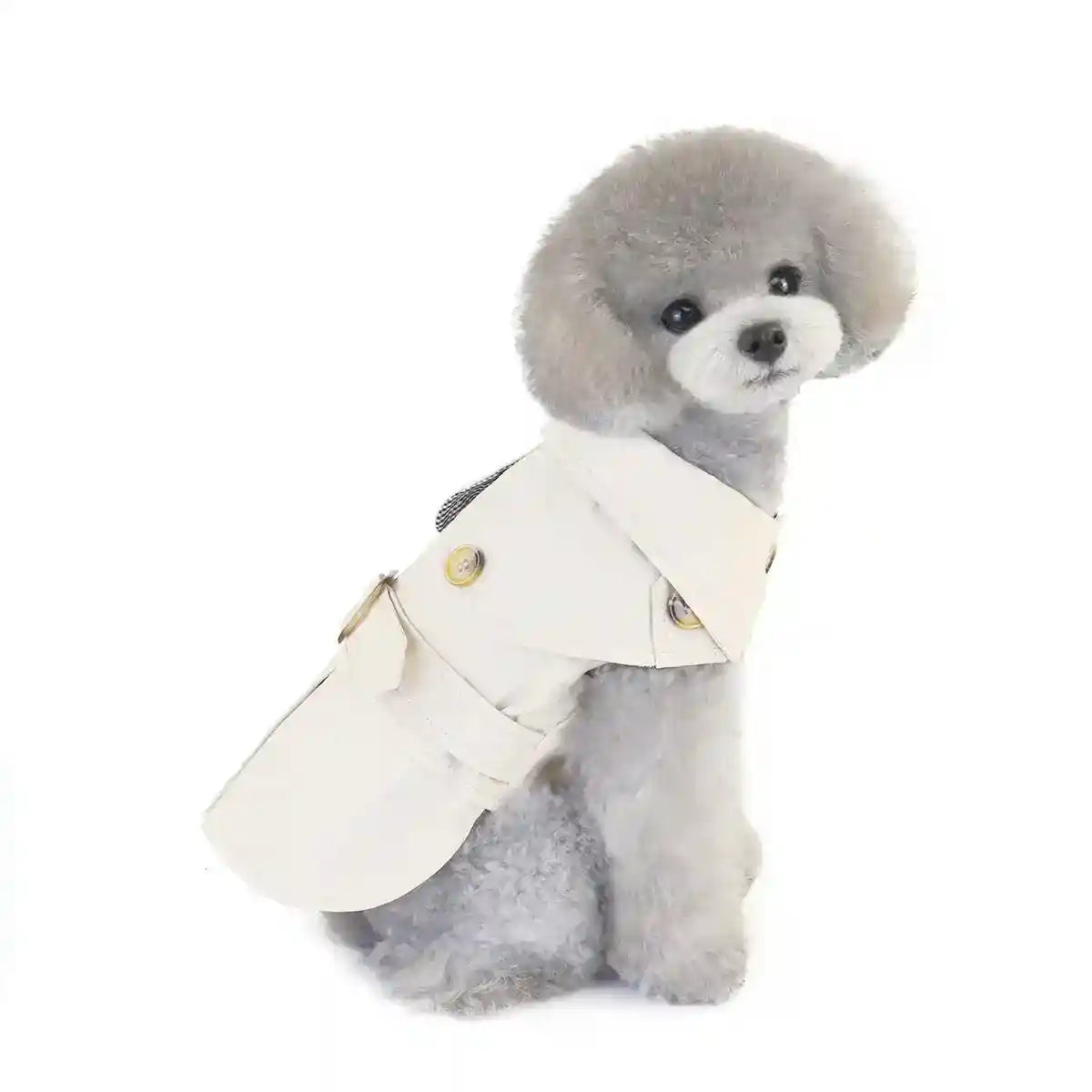 Cappotto leggero elegante per cani piccoli con bottoni e colletto by Dog Moda