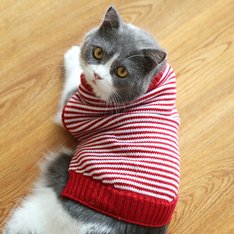 Cat Sweater – Soft, Warm and Available in Many Patterns