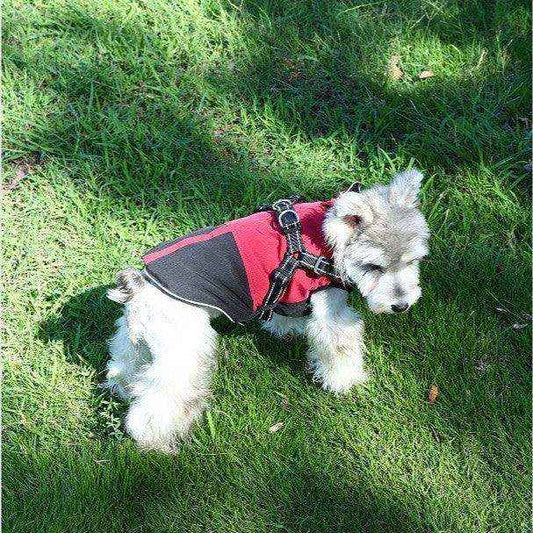 Cappottino per Cani con Pettorina e Zip - Interno Pile by Dog Moda
