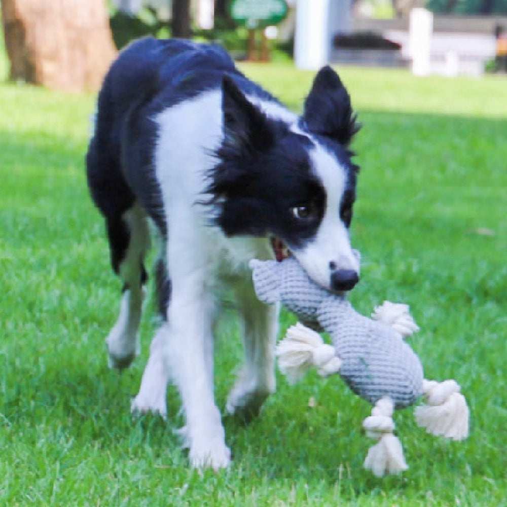 Dog Toy "Woof" - Rope and Plush Elephant or Snake