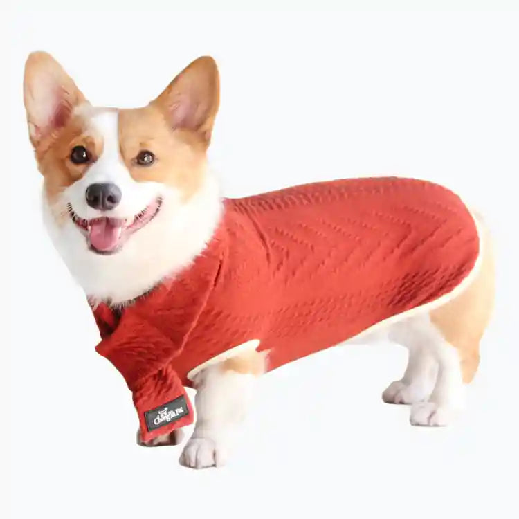 Maglione Cani Swiss con Sciarpina - Treccia Caldo by Dog Moda