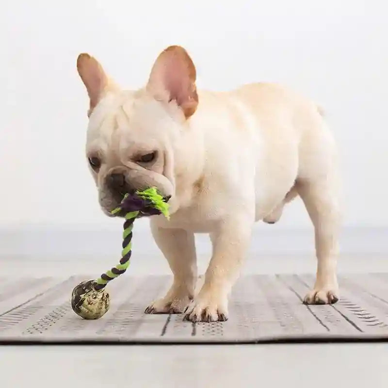 Gioco Corda Pallina Gomma Cani - Tiro Fune Interattivo by Dog Moda