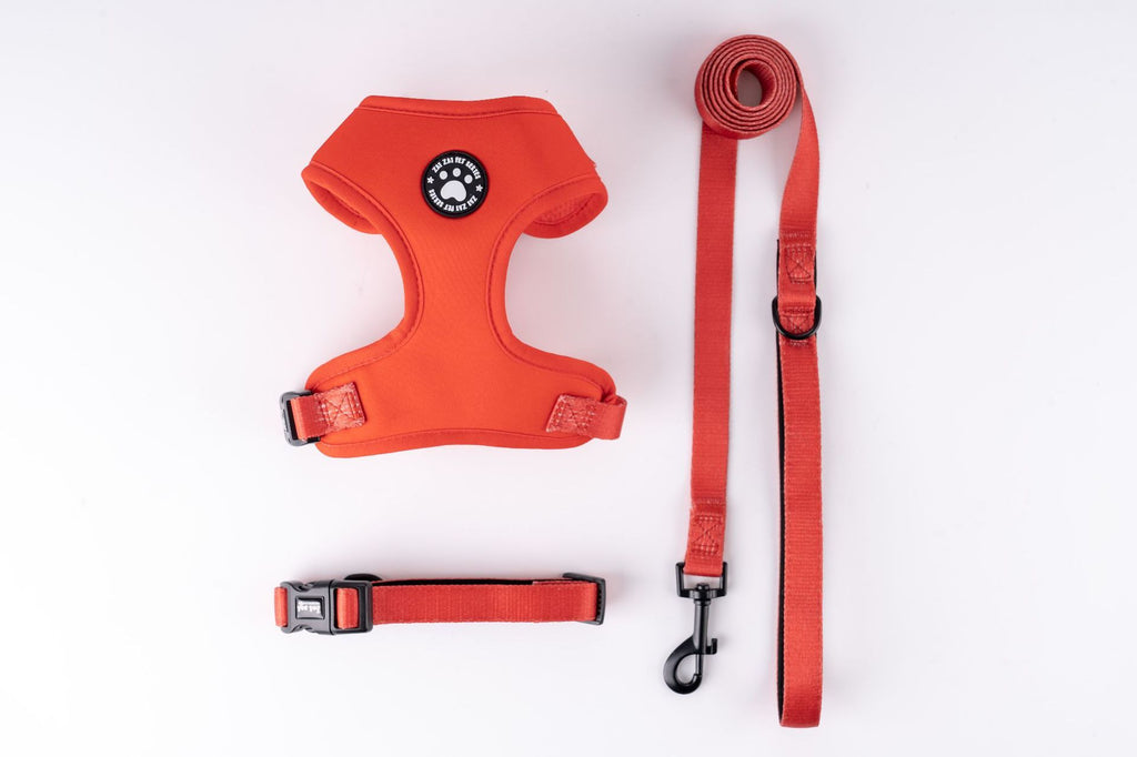 Set Pettorina Collare Guinzaglio Cani Perfect Paw