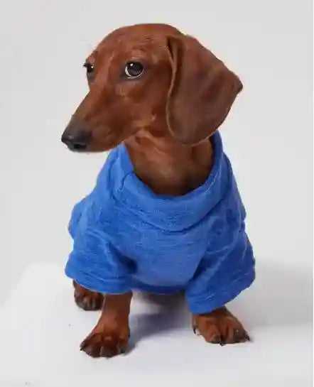 Felpa Fashion per Cani con Anello Pettorina - XS a 6XL by Dog Moda