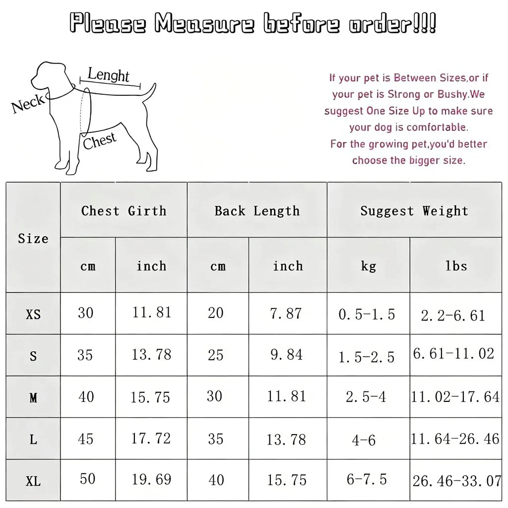 Mountain Dog Regenmantel mit Tasche und Leine