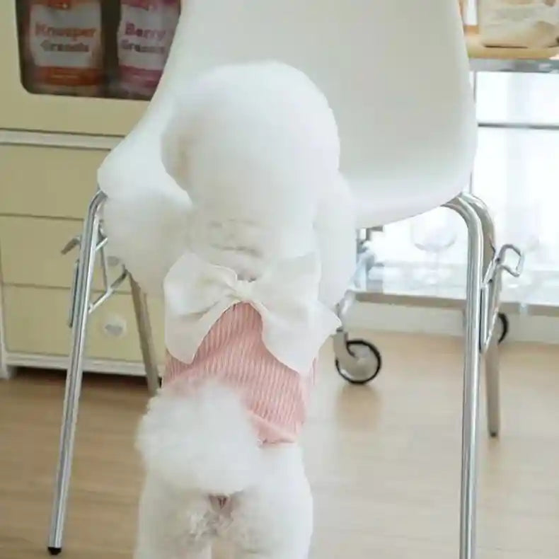 Vestido con Lazo para Perros - Elegante Princesa