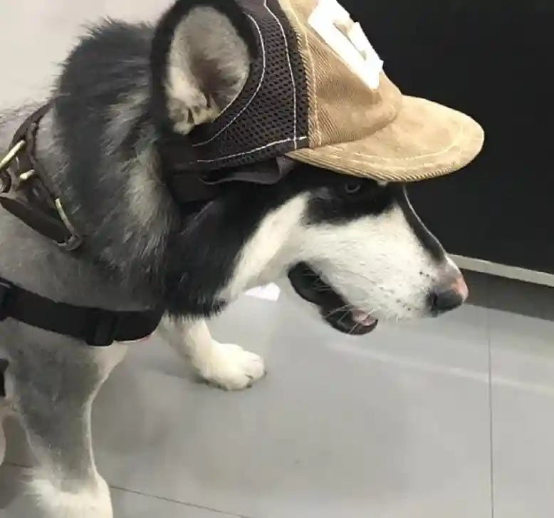 Cappellino per Cani con Visiera - Traspirante Velluto by Dog Moda