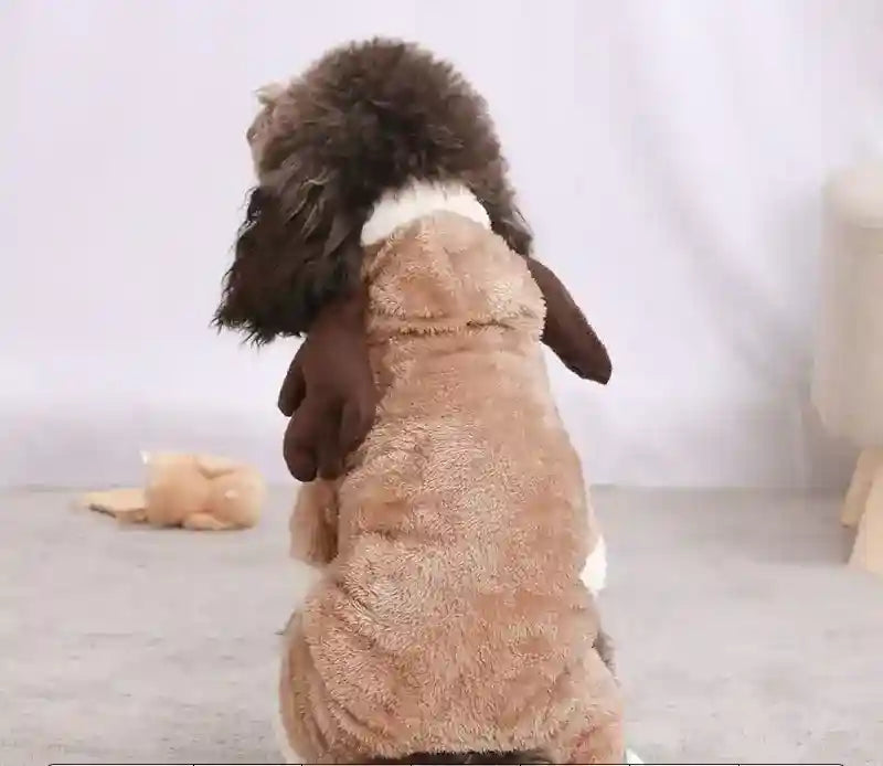 Costume invernale per cani a forma di orso, mucca, dinosauro, leone by Dog Moda