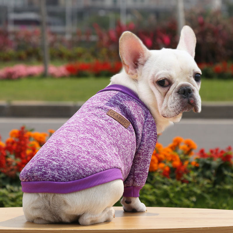 Maglioncino per Cani in Tinta Unita – Modello "Classic" - Dog Moda