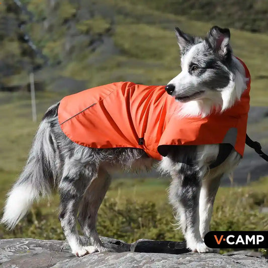 Impermeabile Cani V-Camp - K-Way Antipioggia Collo Alto by Dog Moda