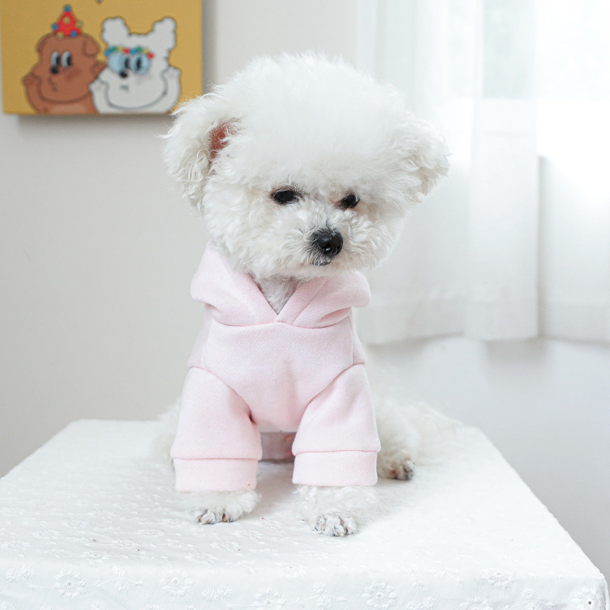Pink Dog Sweatshirt "The Princess Has Arrived" with Hood and Embroidery