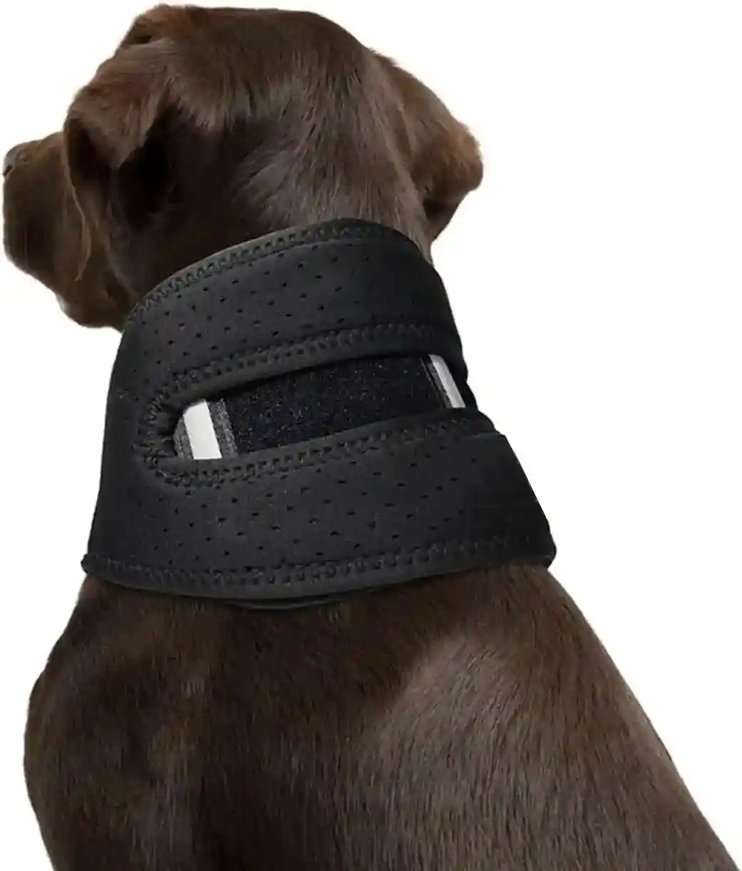 Collare Ortopedico per Cani - Supporto Cervicale Forte Antileccamento by Dog Moda
