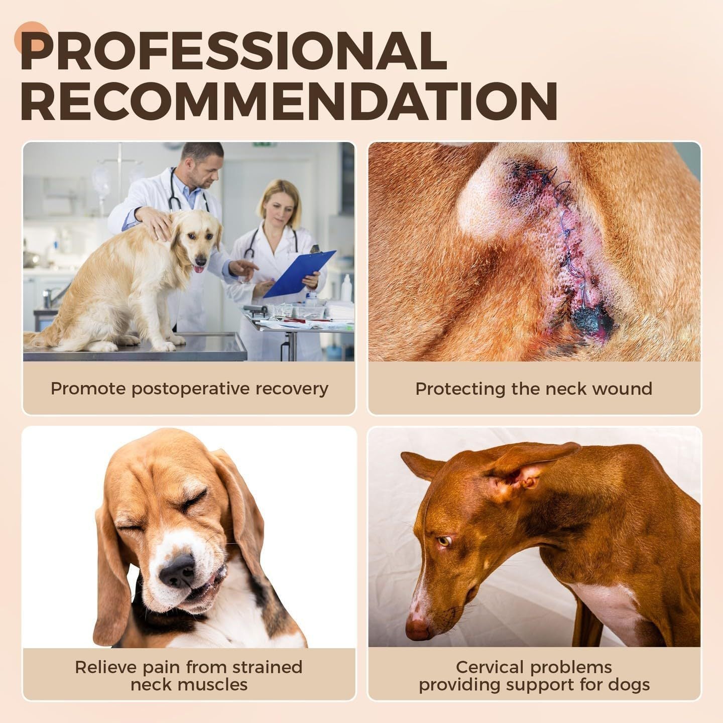 Collare Ortopedico per Cani - Supporto Cervicale Forte Antileccamento