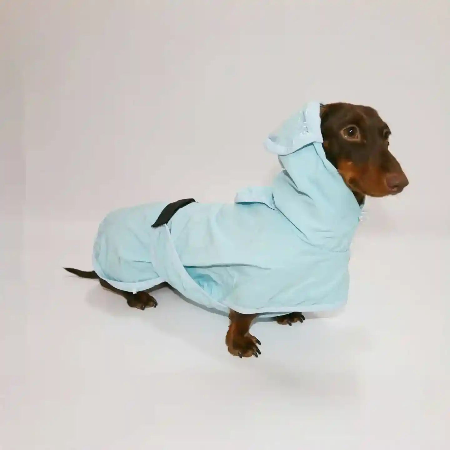 Impermeabile per bassotto Yumi con cappuccio e visiera trasparente by Dog Moda