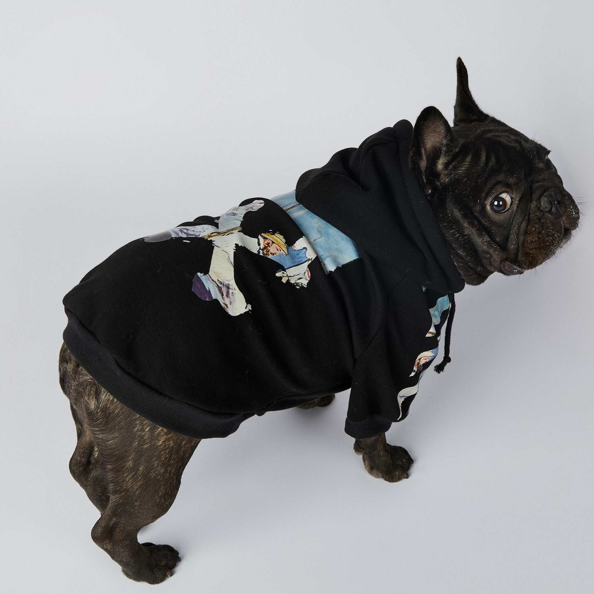 Felpa "Bulldog Style" Nera con Cappuccio - Dog Moda
