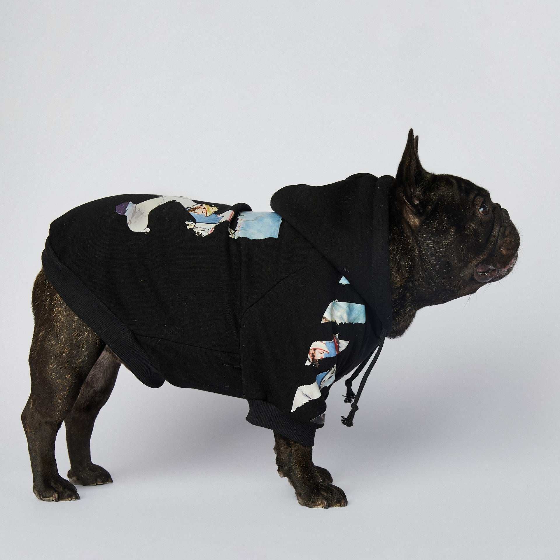 Felpa "Bulldog Style" Nera con Cappuccio - Dog Moda