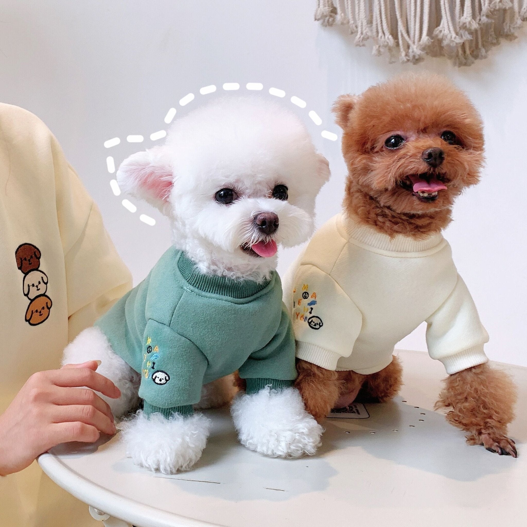 Felpa Coordinata per Cani e Padroni con Ricamo di Tre Musetti di Cagnolino - Dog Moda