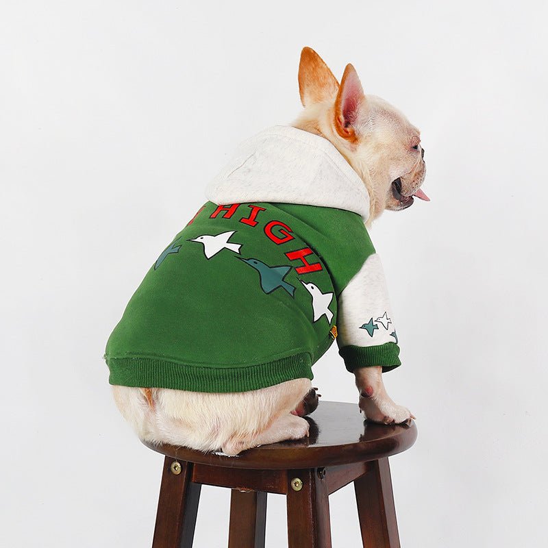 Felpa Imbottita in Pile Verde per Bulldog Francesi con Stampa Uccellini e Scritta "Fly High" - Dog Moda