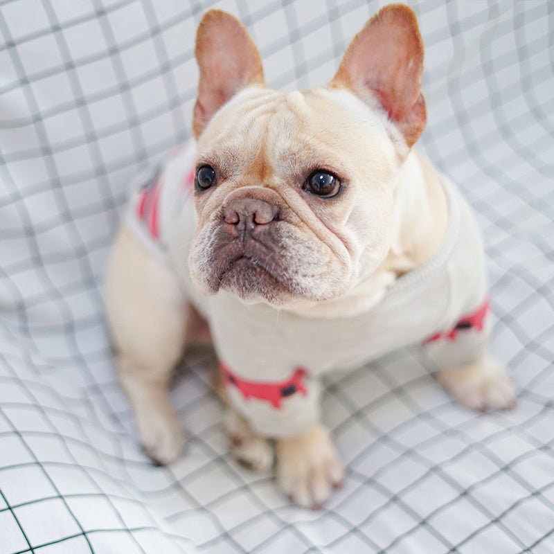 Felpa per Bulldog con Stampa Geometrica - Modello "Kos" - Dog Moda