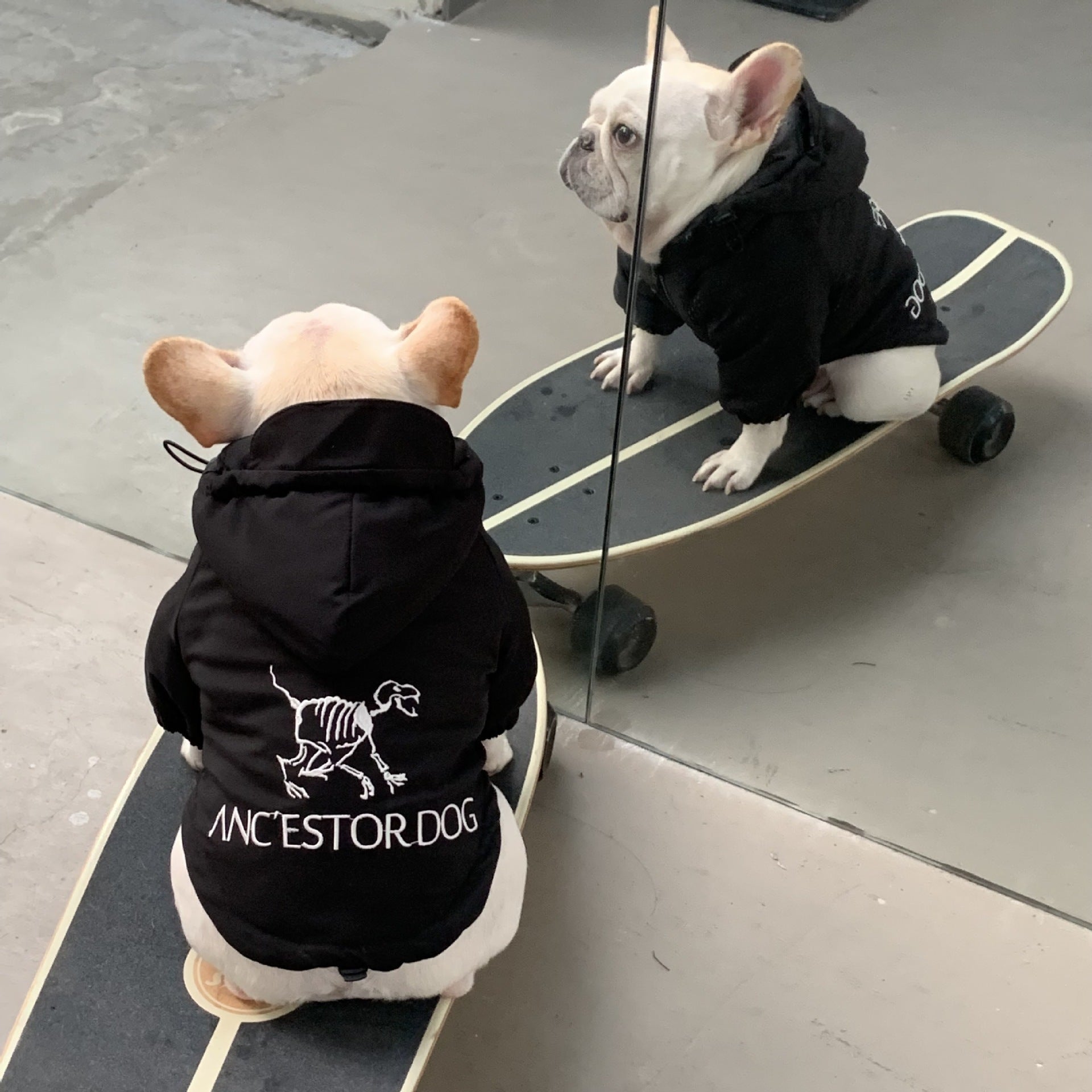 Felpa per Cani con Cappuccio "Cane Ancestrale" - Dog Moda