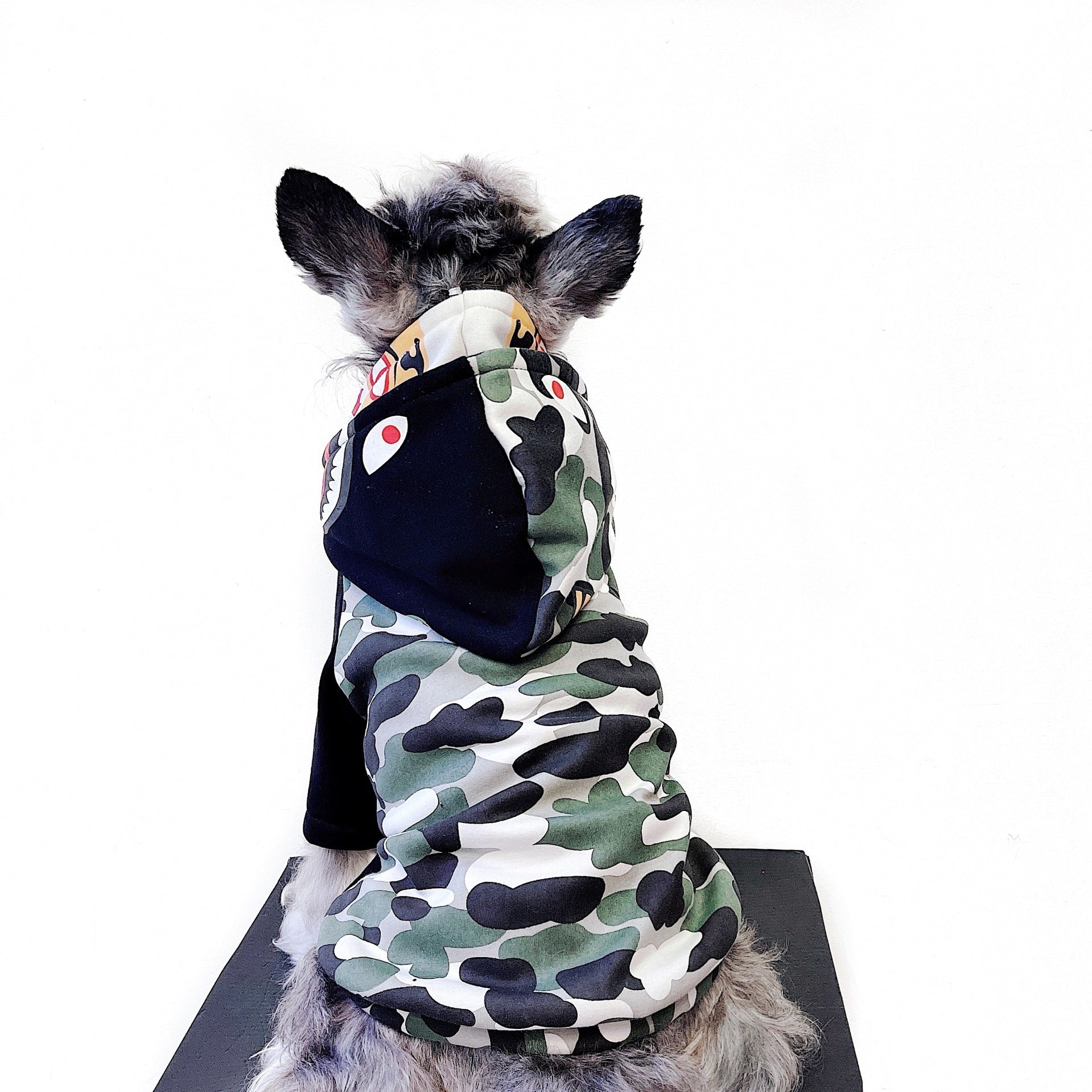 Felpa per cani con cappuccio e zampine "Street Art" - Dog Moda