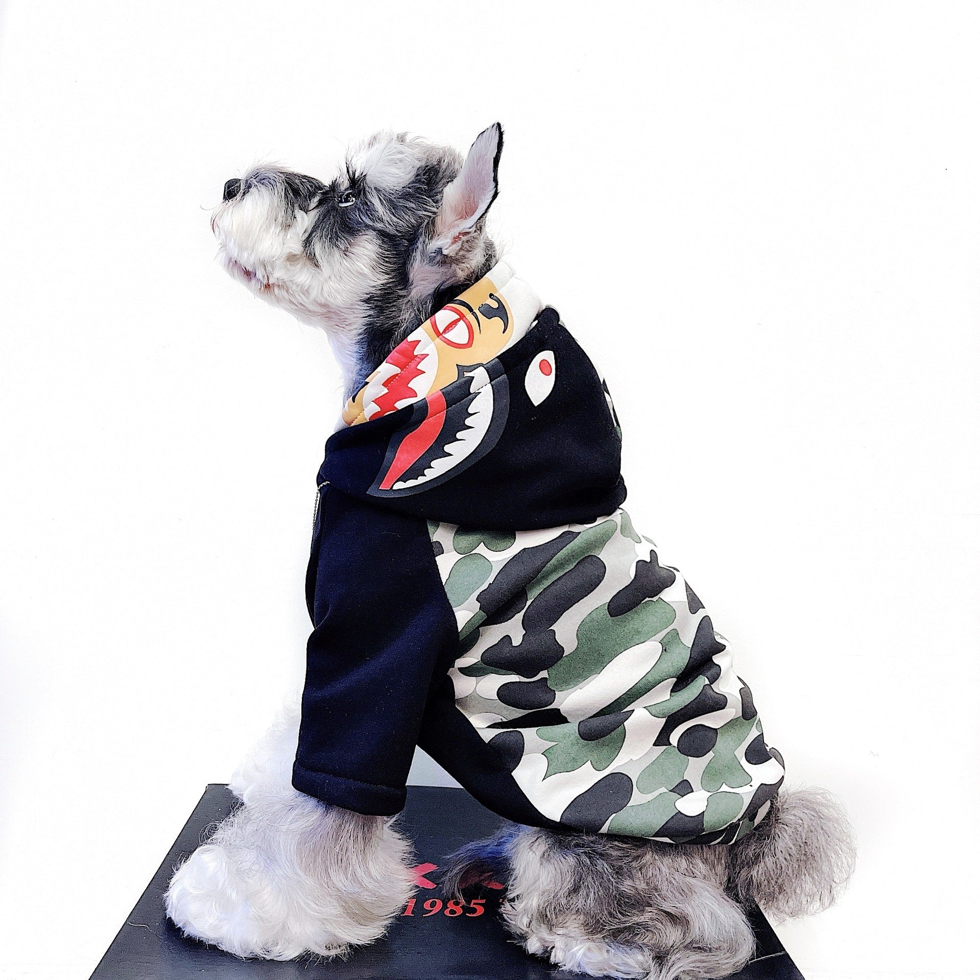 Felpa per cani con cappuccio e zampine "Street Art" - Dog Moda