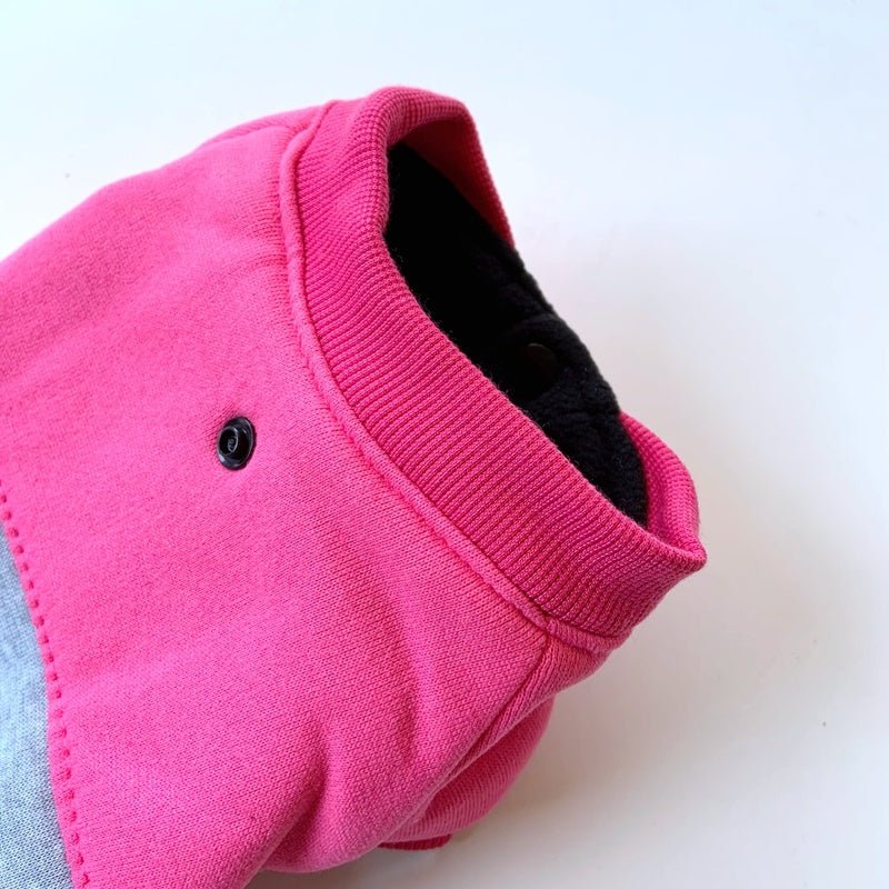Felpa per cani costume corriere rider "Foodpet" - Dog Moda