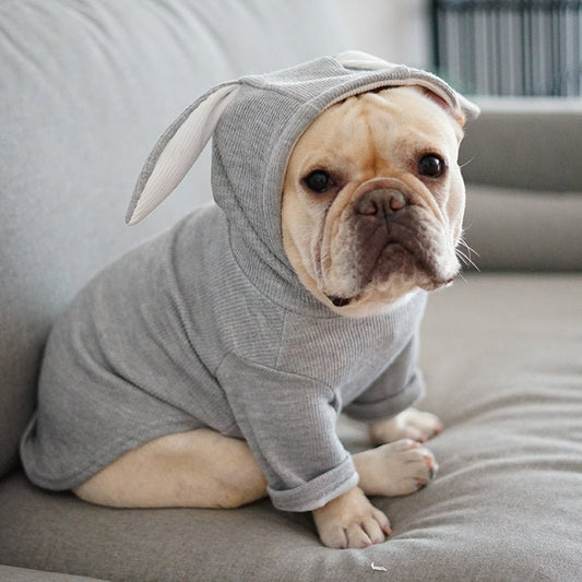 Felpa per cani e Bulldog cappuccio orecchie "Bunny" - Dog Moda