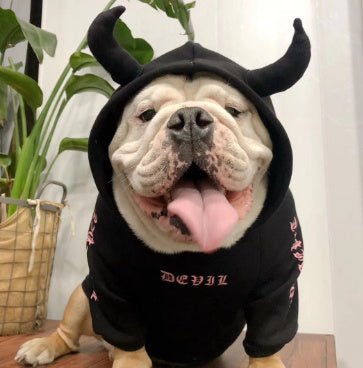 Felpa per cani in puro cotone "Angeli e Demoni" - Dog Moda