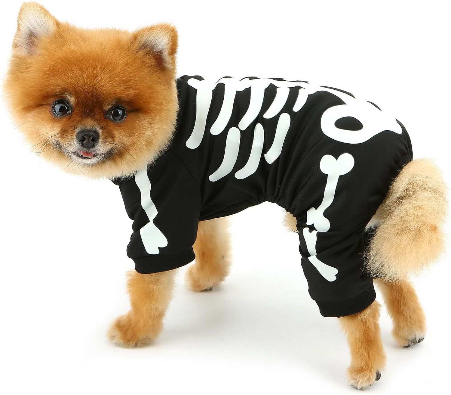 Felpa per Cani "Scheletro Luminoso" - Il Costume di Halloween Fosforescente - Dog Moda