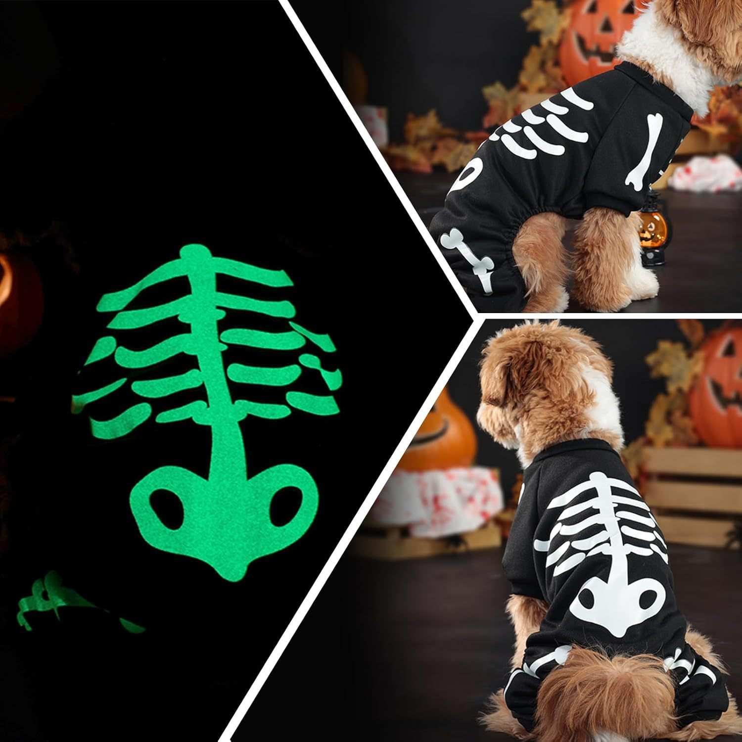 Felpa per Cani "Scheletro Luminoso" - Il Costume di Halloween Fosforescente - Dog Moda
