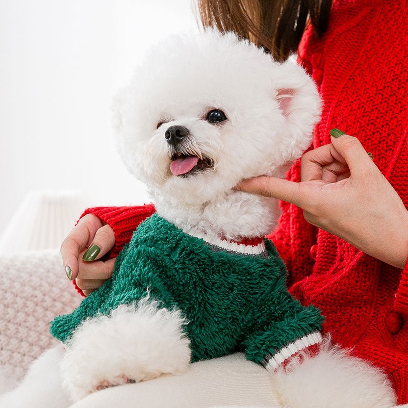 Felpina di Natale per Cani con Faccia di Renna – Perfetta per Chihuahua - Dog Moda