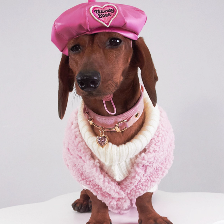 Dachshund Fleece Pillow Coat - Pig or Bear