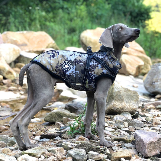 Giacca per cani impermeabile in pile con pettorina integrata "Forest" - Protezione e Stile per il tuo Cane