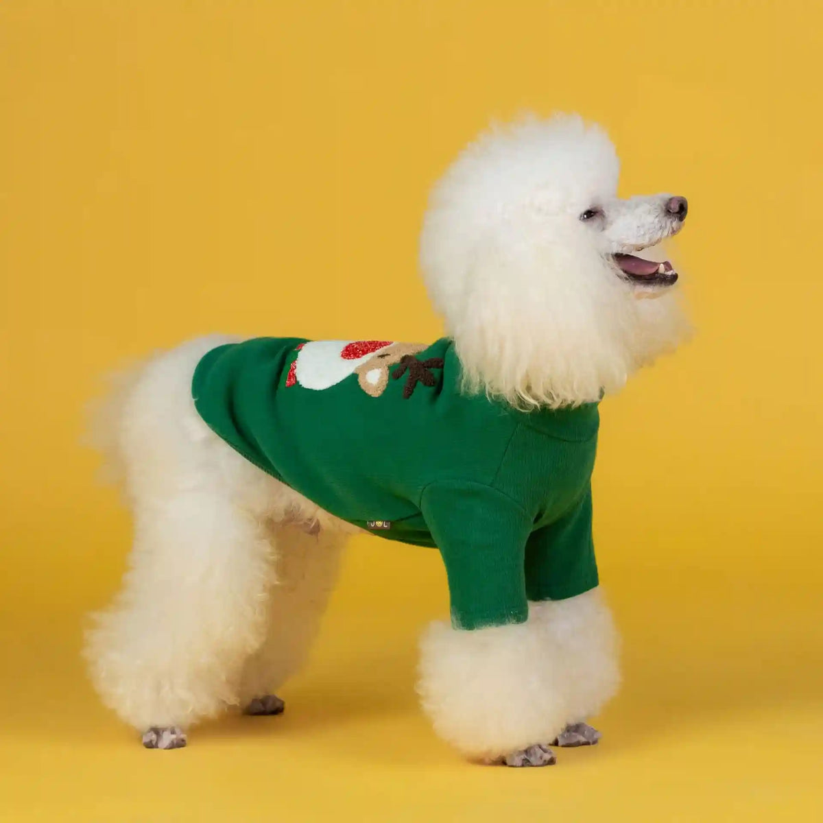 Maglia Natale Cane Renna - Felpa Cotone Rosso Verde by Dog Moda