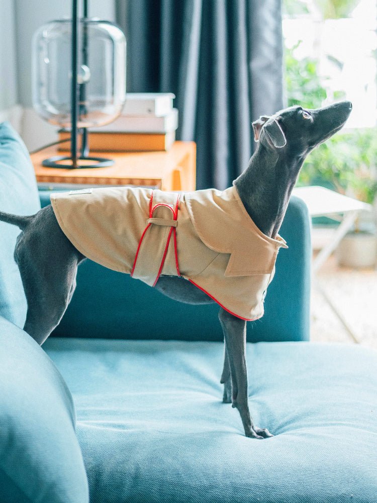 Giacca per cani elegante "Adele" - Dog Moda