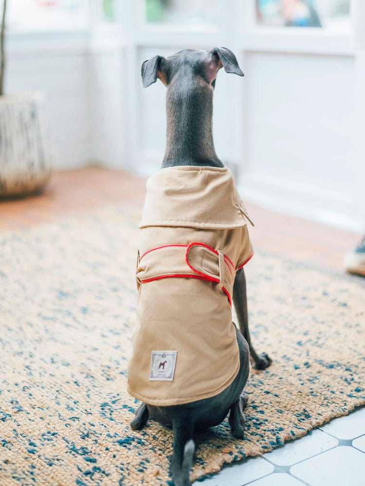 Giacca per cani elegante "Adele" - Dog Moda