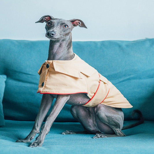 Giacca per cani elegante "Adele" - Dog Moda