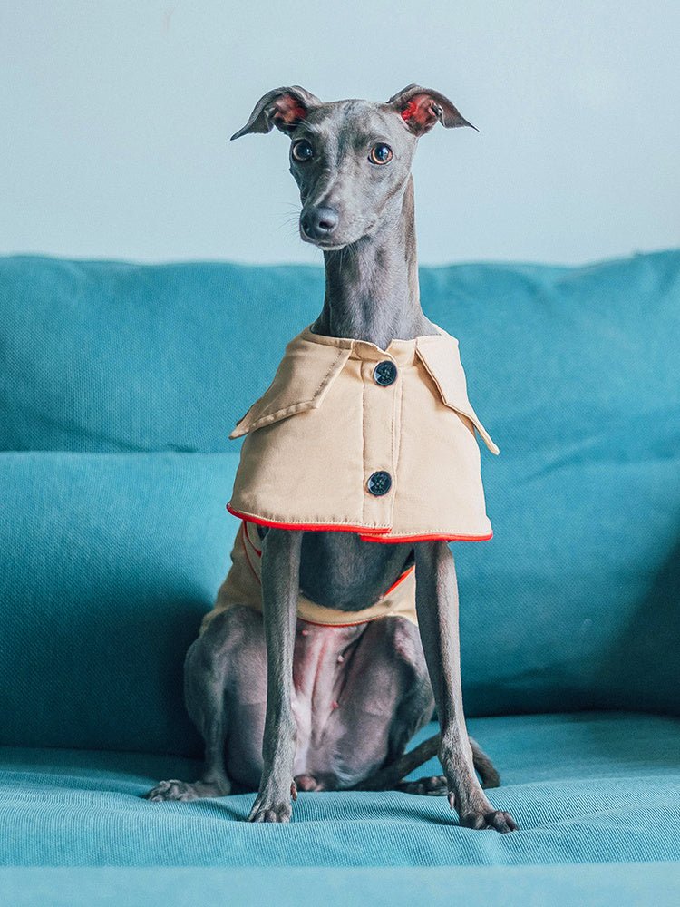 Giacca per cani elegante "Adele" - Dog Moda