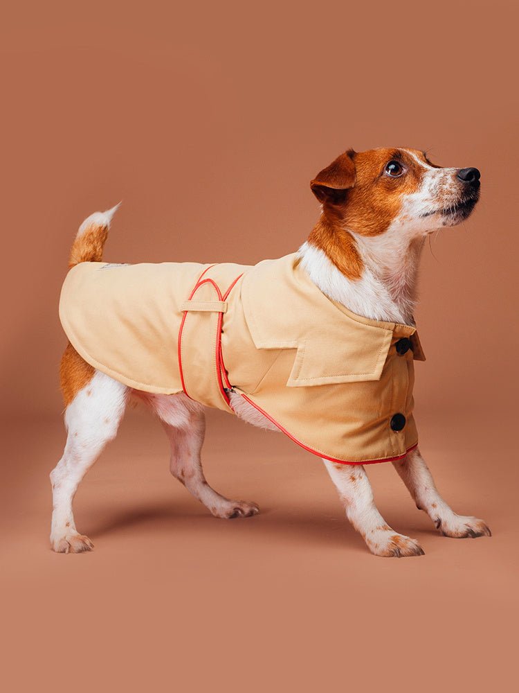 Giacca per cani elegante "Adele" - Dog Moda