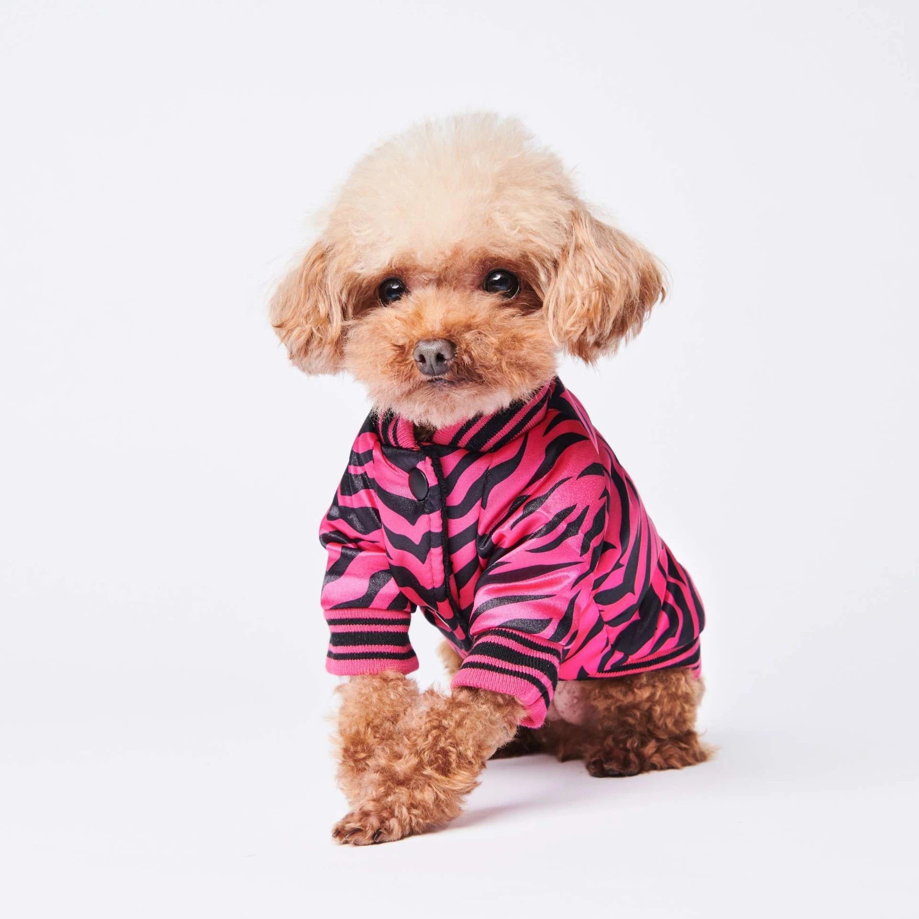 Giacca per cani rosa tigrata "Tiger" - Dog Moda