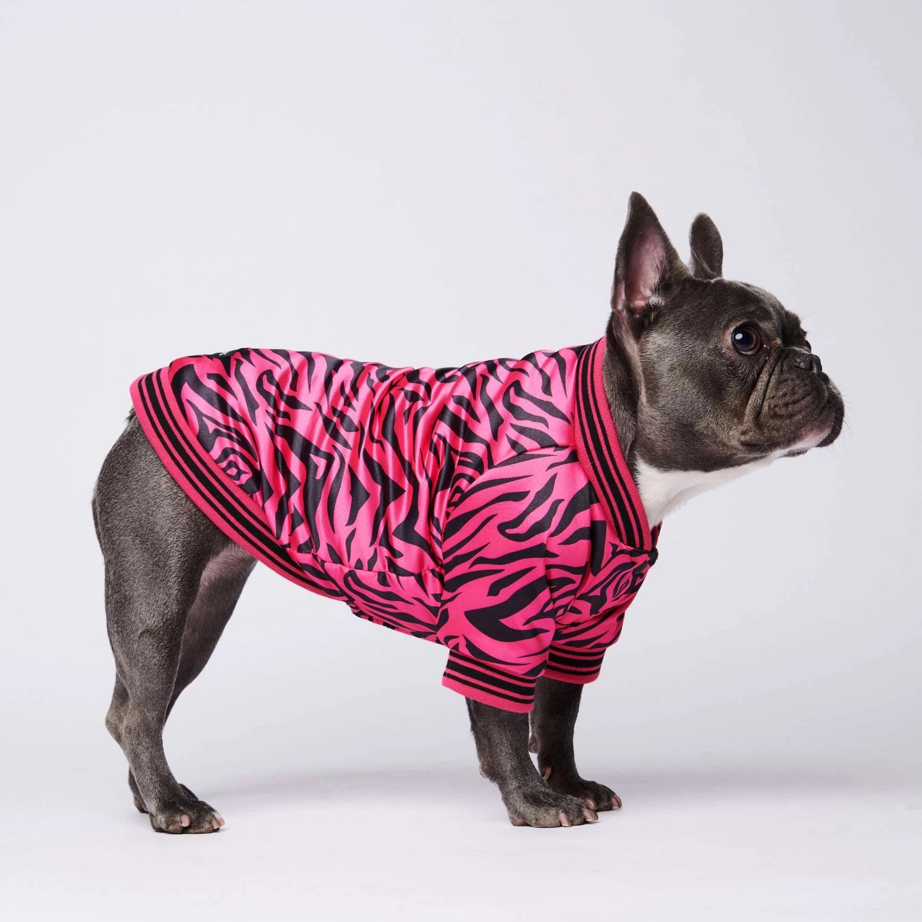 Giacca per cani rosa tigrata "Tiger" - Dog Moda
