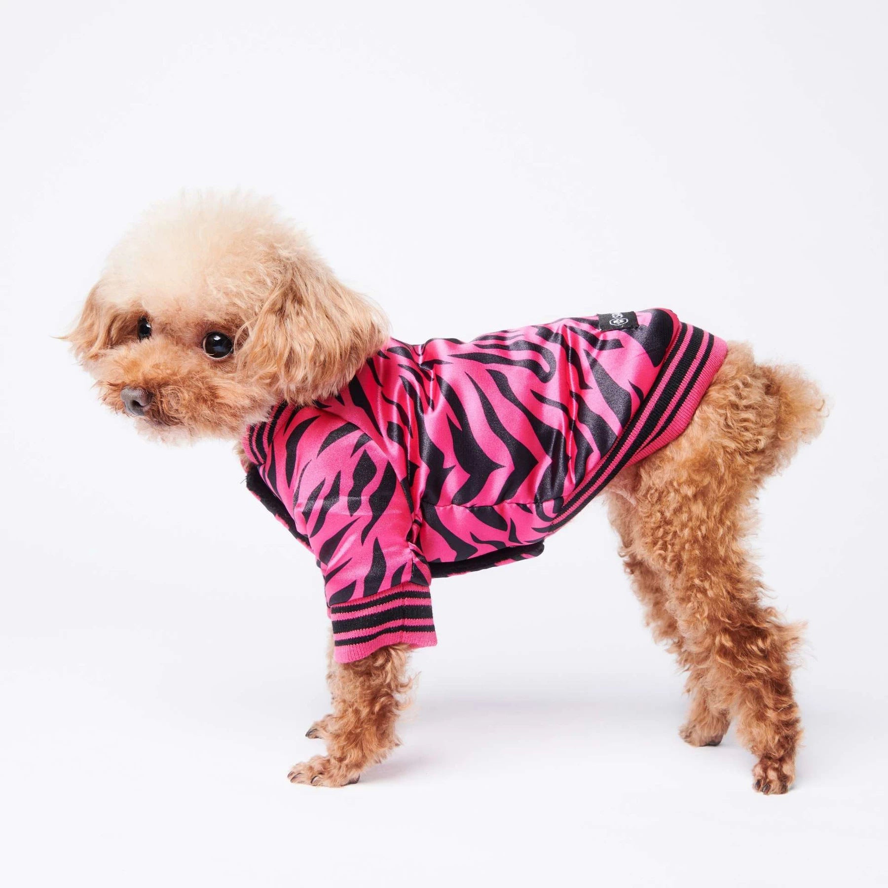Giacca per cani rosa tigrata "Tiger" - Dog Moda