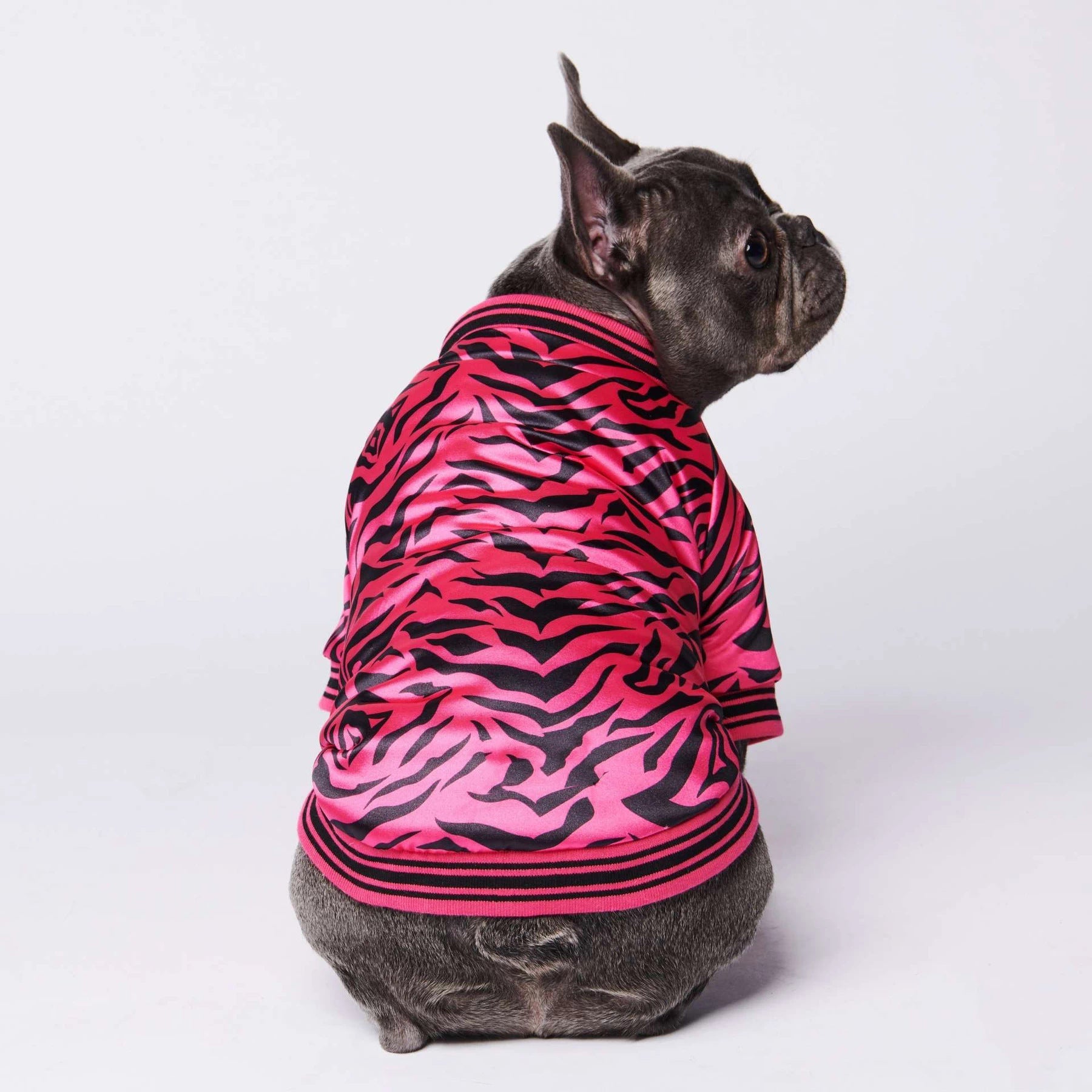 Giacca per cani rosa tigrata "Tiger" - Dog Moda