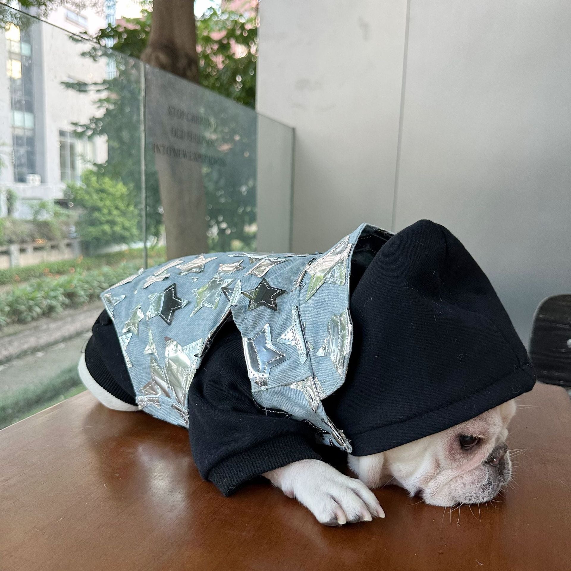 Gilet in Jeans per Cani - Modello Star con Stelline Luccicanti - Dog Moda