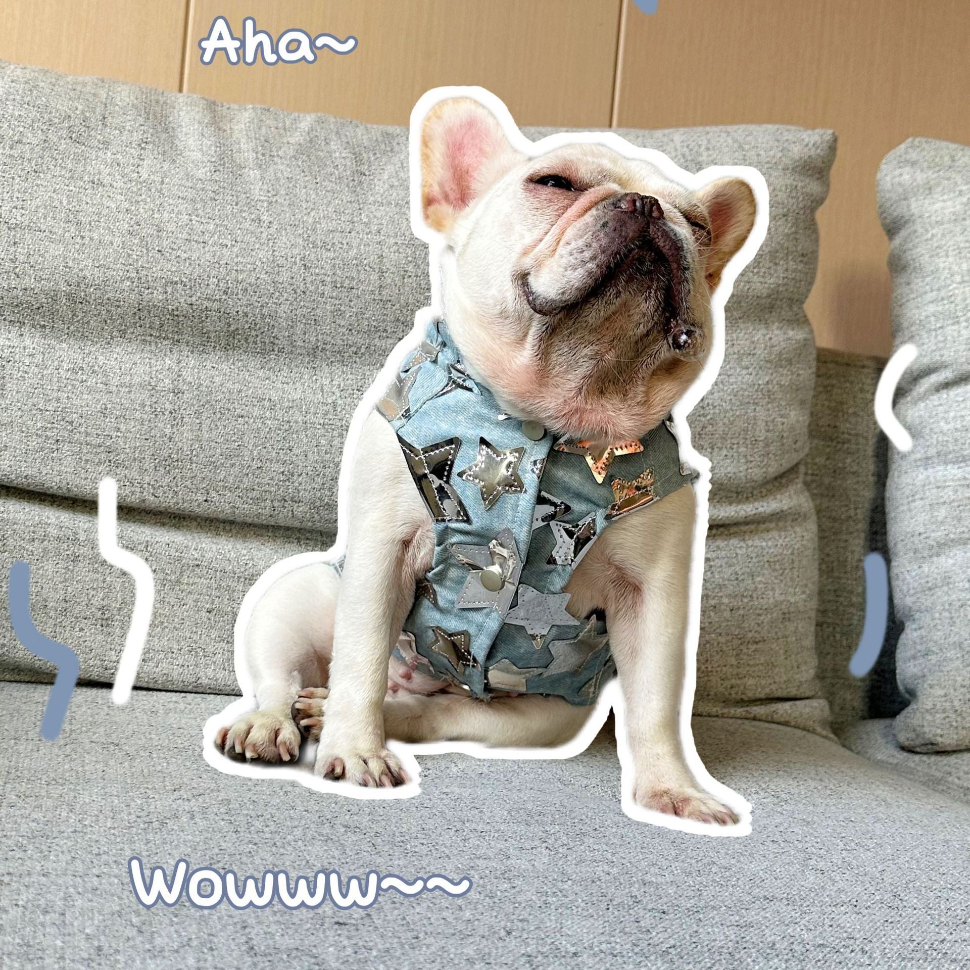 Gilet in Jeans per Cani - Modello Star con Stelline Luccicanti - Dog Moda