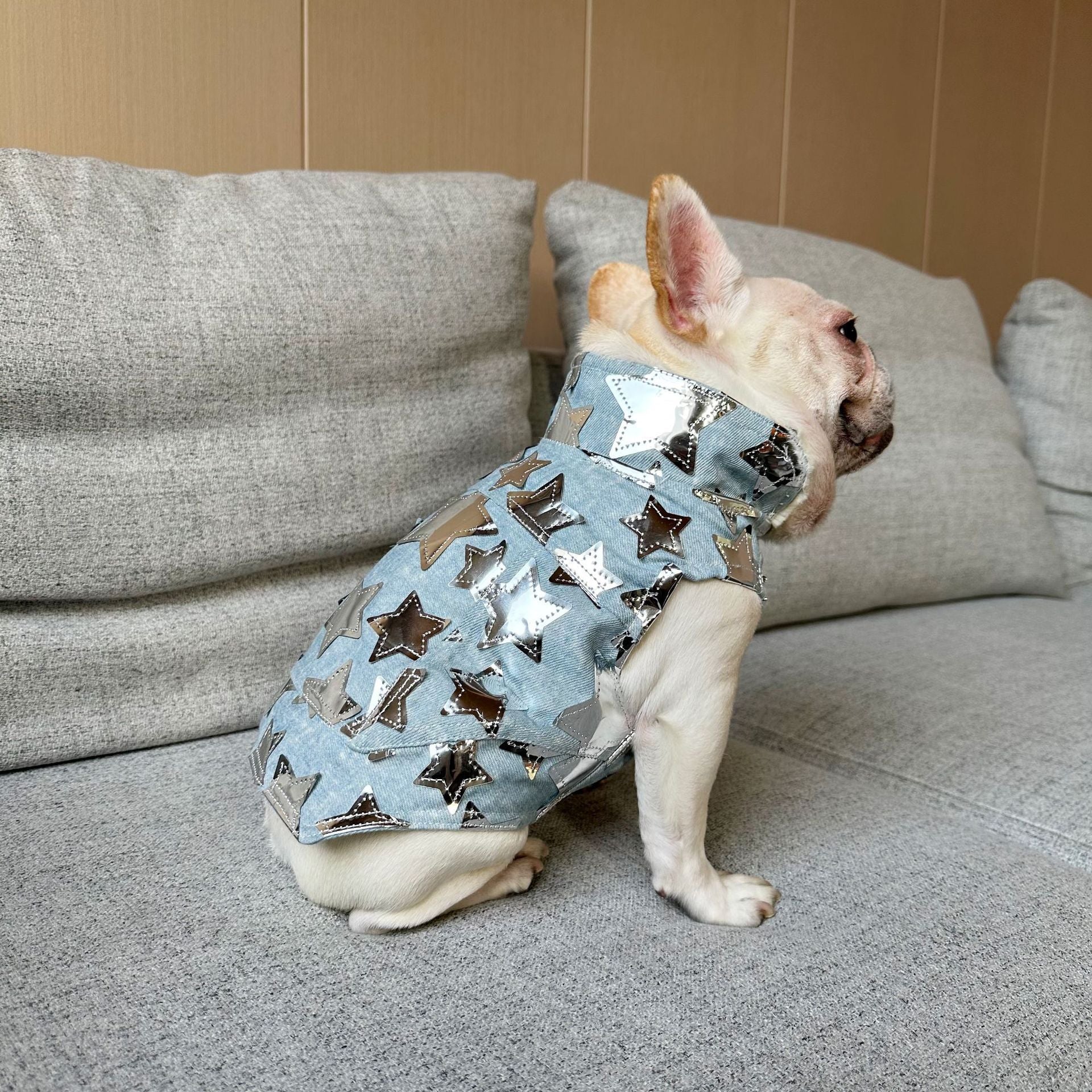 Gilet in Jeans per Cani - Modello Star con Stelline Luccicanti - Dog Moda