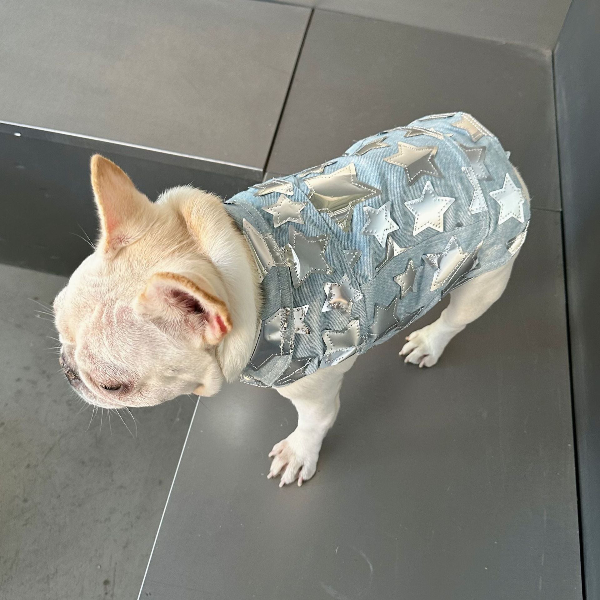 Gilet in Jeans per Cani - Modello Star con Stelline Luccicanti - Dog Moda