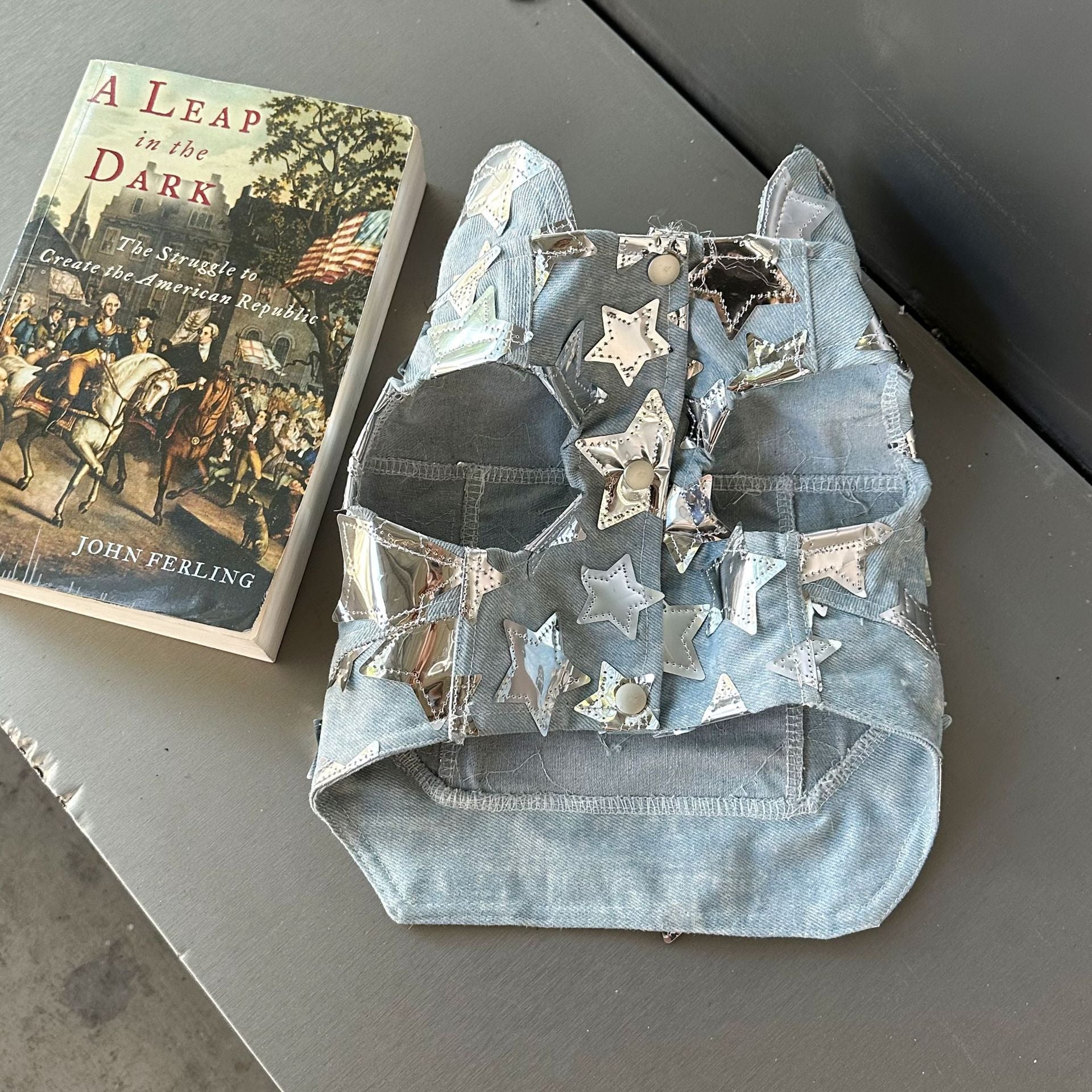 Gilet in Jeans per Cani - Modello Star con Stelline Luccicanti - Dog Moda