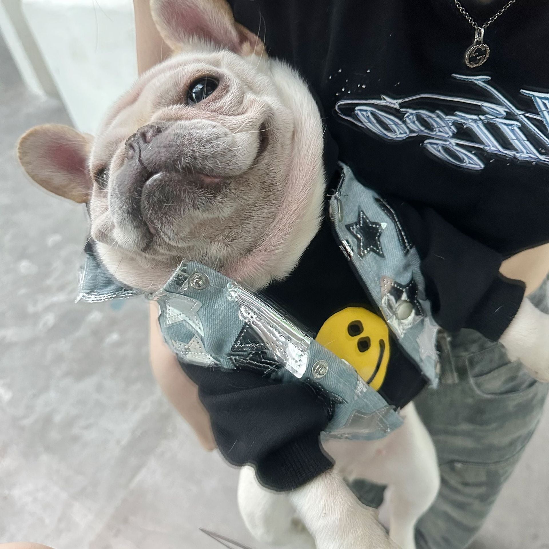 Gilet in Jeans per Cani - Modello Star con Stelline Luccicanti - Dog Moda